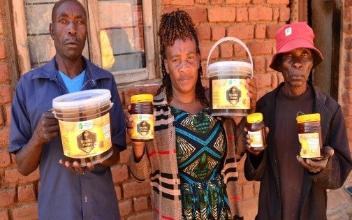 How the IMARIKA Project is Sowing Seeds of Hope in Iringa – 2026 Update