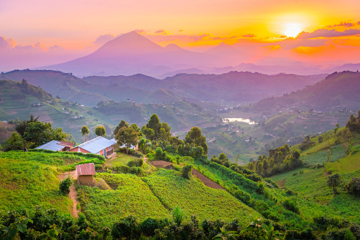 Uganda Hillside