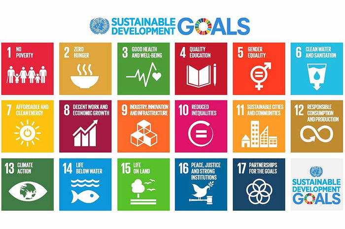 International Development Examples Empowering Communities: During International Development Week 2024