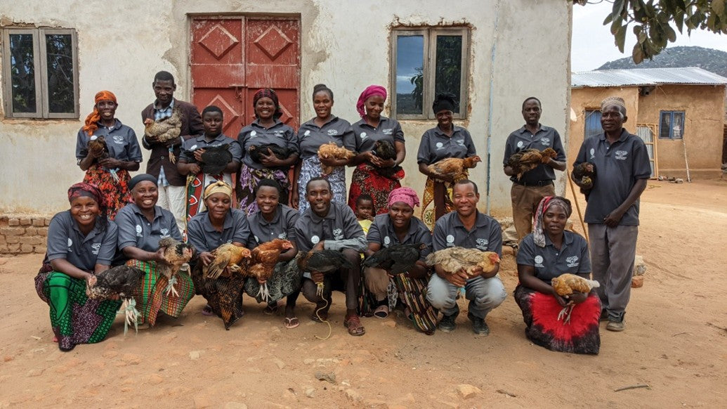 Health for Development Project – 2025 Update