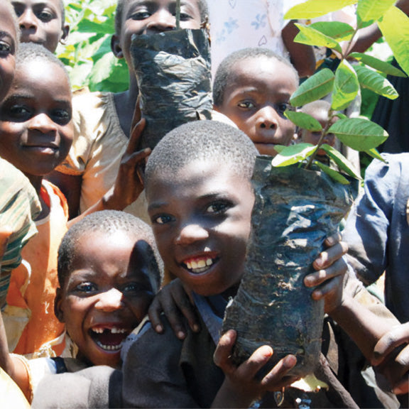 22. Restoring natural trees