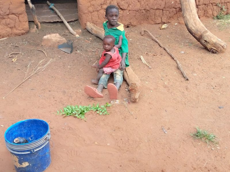 Santé pour le développement – ​​Iringa