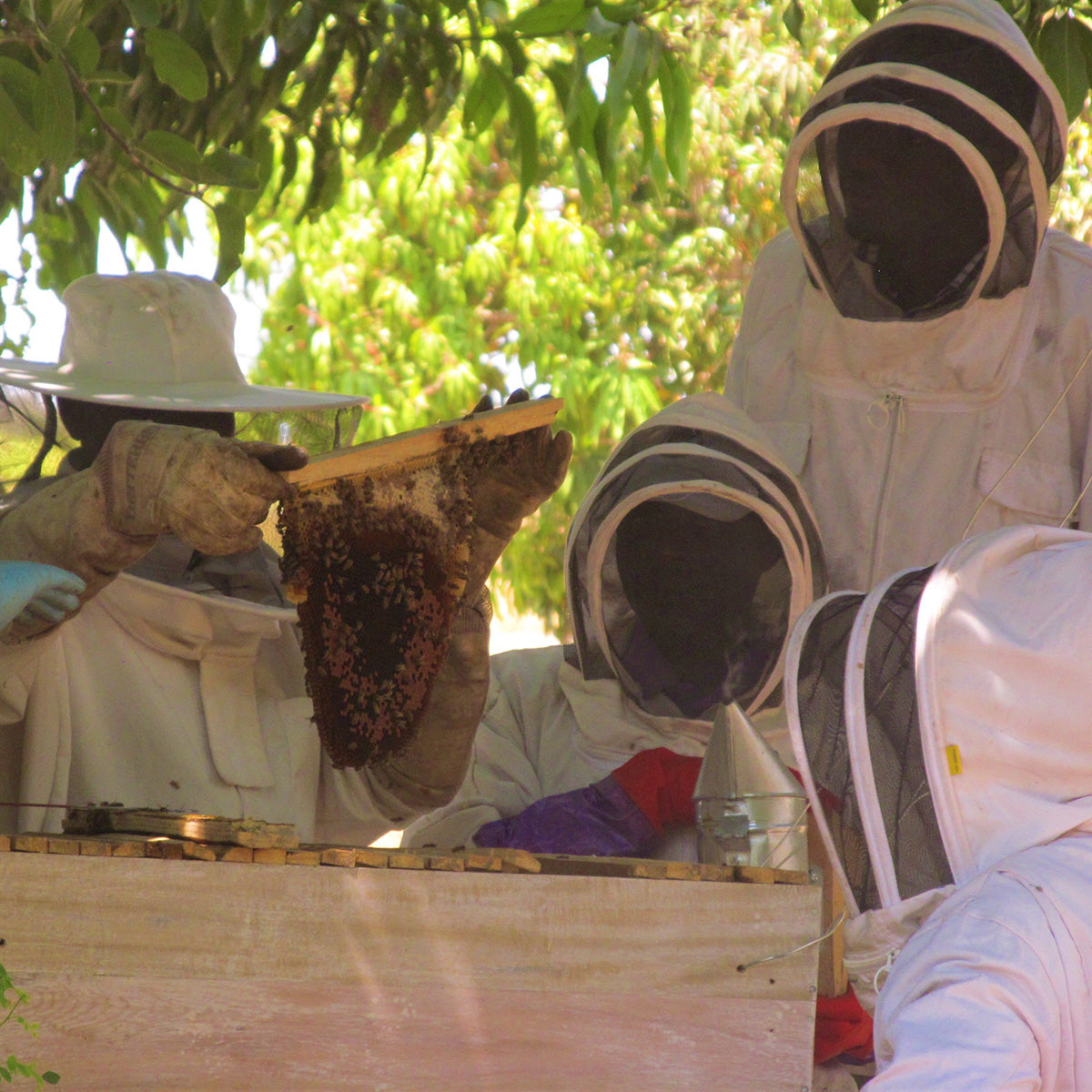 Beekeeping